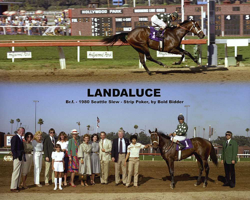 Landaluce , Laffit Pincay up, in the Winners Circle at Hollywood Park after her spectacular 21-length record-breaking win in the Lassie Stakes, July 10, 1982. Pictured are Laura Cotter (third from left), Jeff Lukas (fourth from left), Marcia Fuller French (eighth from left), Nancy Beal, (near flagpole), Barry Beal (near flagpole), Bob French (adjacent), and Wayne Lukas (far right). Credit: Benoit Photo Landaluce , Laffit Pincay up, in the Winners Circle at Hollywood Park after her spectacular 21-length record-breaking win in the Lassie Stakes, July 10, 1982. Pictured are Laura Cotter (third from left), Jeff Lukas (fourth from left), Marcia Fuller French (eighth from left), Nancy Beal, (near flagpole), Barry Beal (near flagpole), Bob French (adjacent), and Wayne Lukas (far right). Credit: Benoit Photo